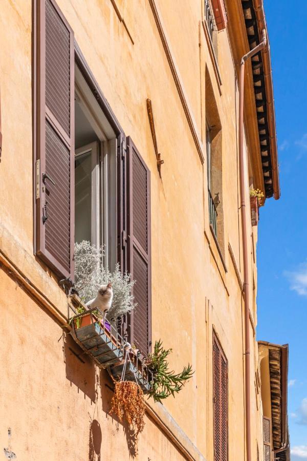 Appartamento R.c. Cappellari Charming Campo De Fiori